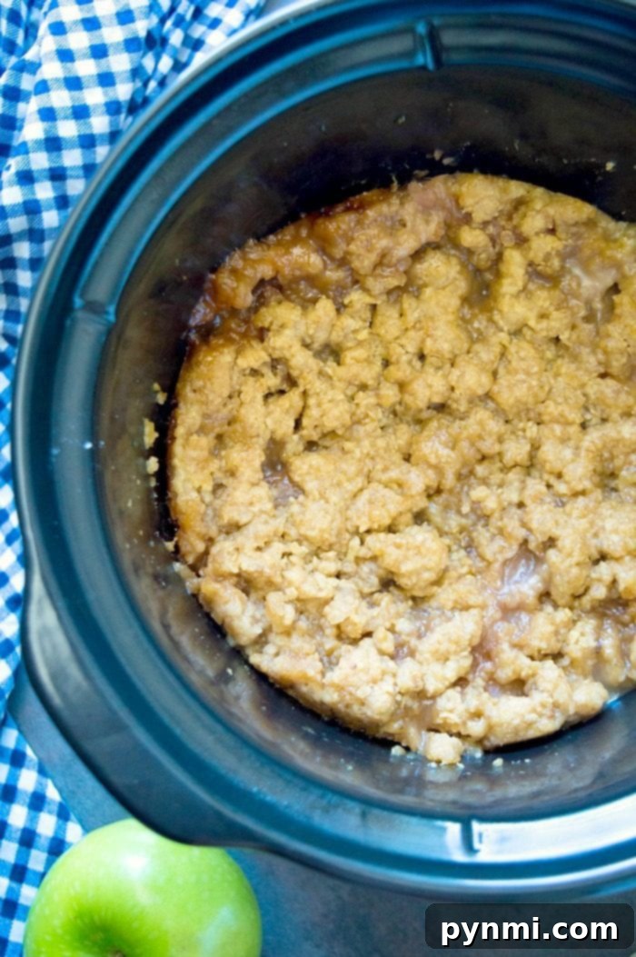 Crockpot apple crisp pie is amazing! It tastes like the warm apple pie filling without the crust and cooked in your slow cooker, easy! #applecrisp #crockpot #slowcooker #pie #dessert #fruit #breakfast #crockpotrecipes #crockpotapplecrisp #thetypicalmom Close-up of crockpot apple crisp with visible apple slices and oat topping.