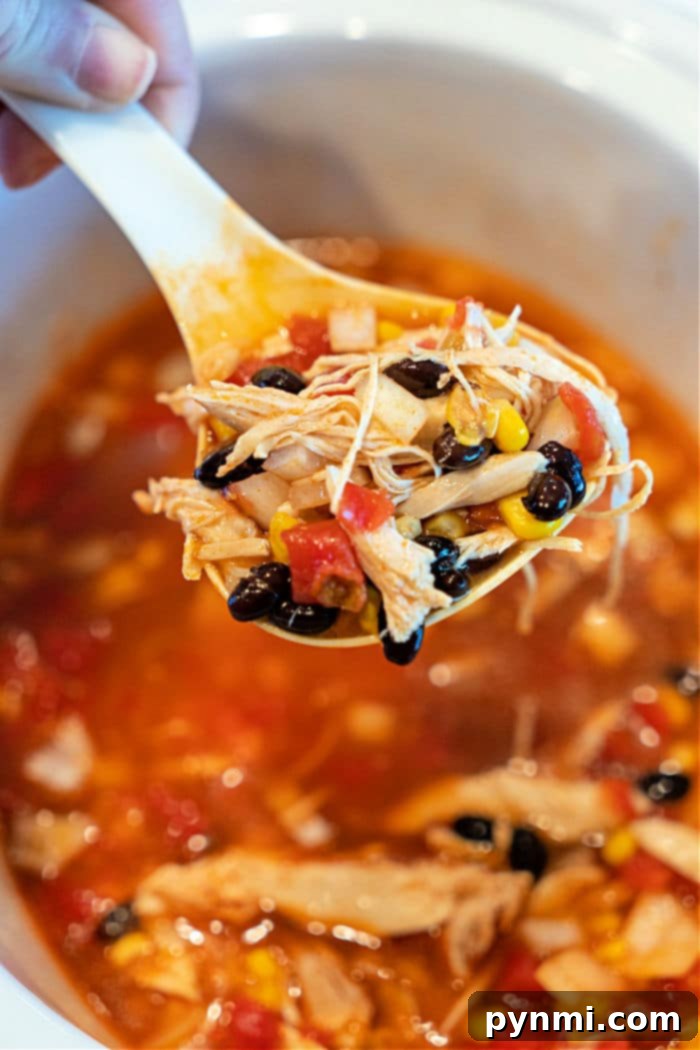 A close-up of a bowl of delicious Slow Cooker Easy Enchilada Soup, topped with cheese and cilantro.