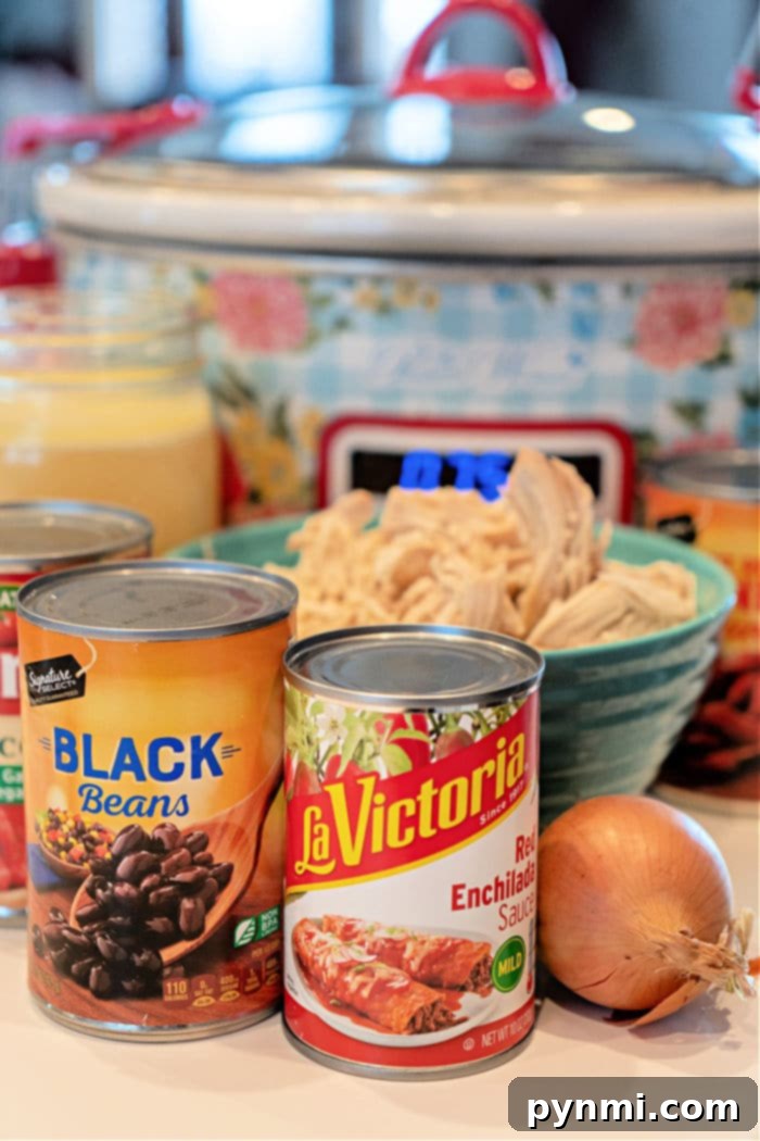 A collection of ingredients for enchilada soup, including canned black beans, enchilada sauce, an onion, and a slow cooker, with a finished bowl of shredded chicken soup nearby.