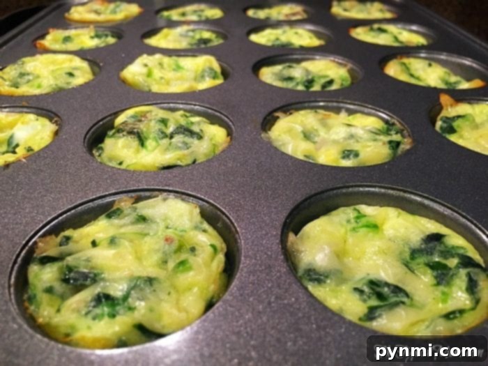 Mini quiche recipe