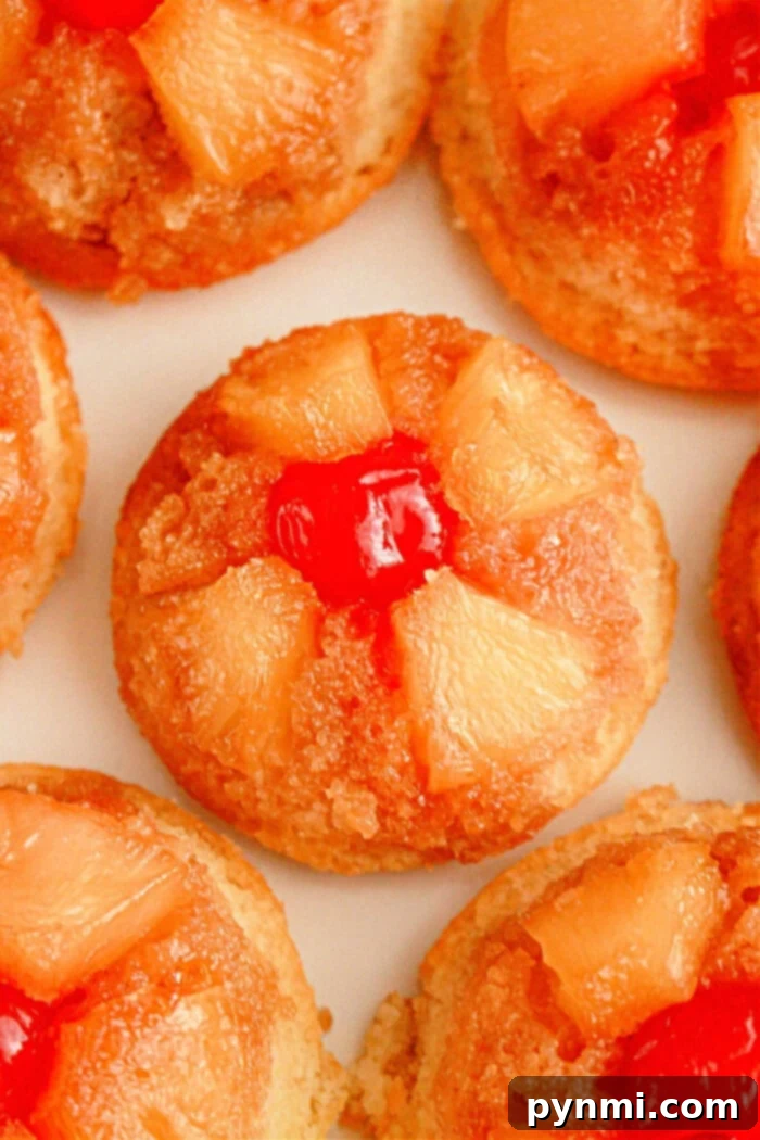 Effortless Golden Pineapple Upside Down Cupcakes 2 Close-up of individual pineapple upside-down cupcakes. Each cupcake showcases pineapple chunks arranged in a circular pattern, crowned with a bright red cherry at the center. The cupcakes boast a golden-brown caramelized surface.
