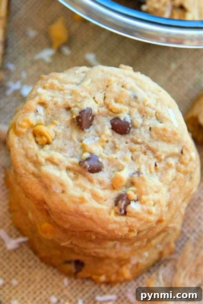 The Everything Cookie 2 Delicious Kitchen Sink Cookies with Coconut and Pretzels