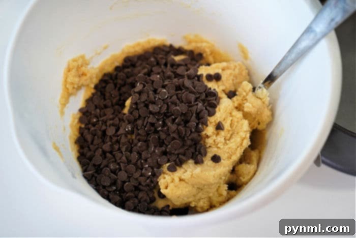 The Everything Cookie 3 Homemade Chocolate Chip Cookie Dough Ready for Baking
