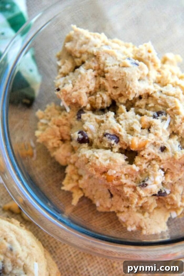 The Everything Cookie 4 Loaded Cowboy Cookies with Chocolate Chips, Nuts, and Oats