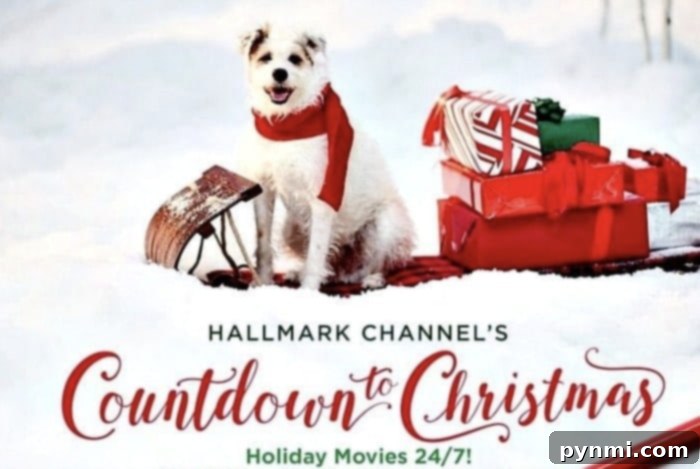 Hallmark's 2022 Holiday Heartwarmers 2 hallmark christmas movies schedule