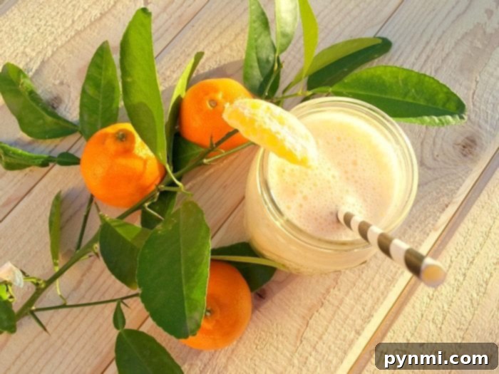 Burst of Sunshine Smoothie 5 Easy Mandarin Creamsicle Smoothie Recipe