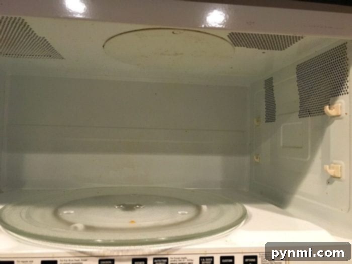 Sparkling Microwave, Lemon Fresh 5 Bowl of lemon and water steaming inside a microwave during the cleaning process.