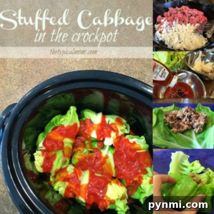 Slow cooker stuffed cabbage is so yummy that even my kids love it! Roll them up, let them cook all day in your crockpot and it tastes amazing. No side dishes needed for this dinner idea. Perfect for St.Patricks Day or any time of the year really. Here's an easy way to make this classic dish. #crockpot #slowcooker #stuffed #cabbage #easy #recipe #stpatricksday #dinner Delicious slow cooker stuffed cabbage rolls served on a plate