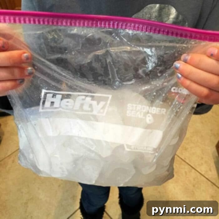 How to make ice cream at home using 2 baggies!! Easy activity to do with kids that is yummy and easy to do, you've got to try this!! A gallon bag partially filled with ice and rock salt, ready for the ice cream mixture.