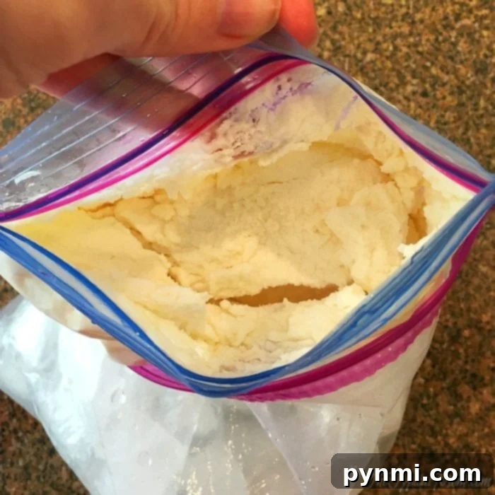 Shake Up Your Own Ice Cream in a Bag 3 Close-up of freshly made ice cream scooped from a bag into a bowl.