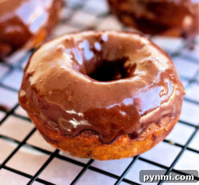 Golden Harvest Baked Pumpkin Donuts 9 A perfectly baked pumpkin donut, ready to be enjoyed.