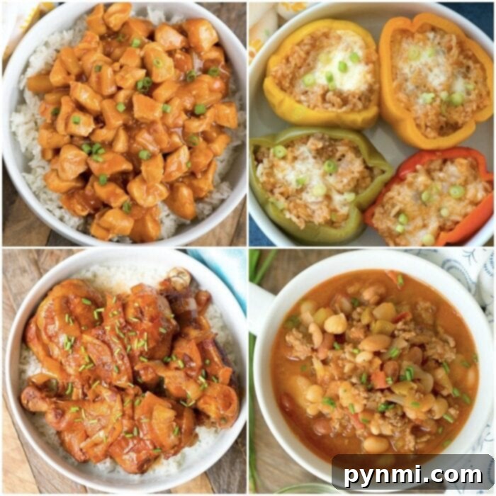 Quick and Easy Instant Pot Dinner Ideas for Busy Weeknights and Family Meals instant pot dinner