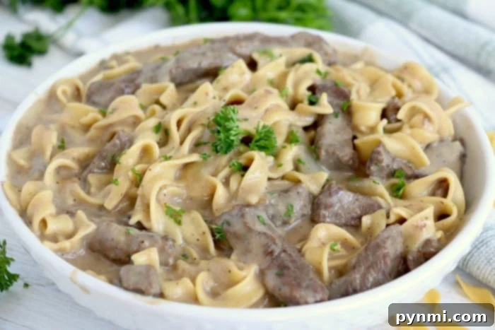 Instant Pot Kickstart: Simple Recipes for New Users 3 pressure cooker beef and noodles