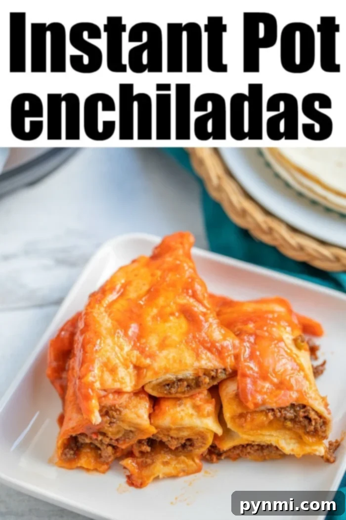 Instant Pot Kickstart: Simple Recipes for New Users 4 instant pot enchiladas