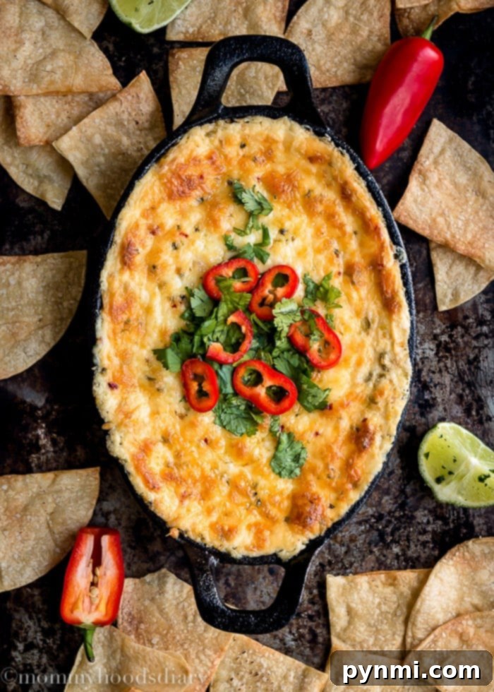 Sizzling Hot Dips 4 A vibrant hot corn and green chile dip, richly textured and topped with fresh cilantro, served in a rustic bowl with crunchy tortilla chips.