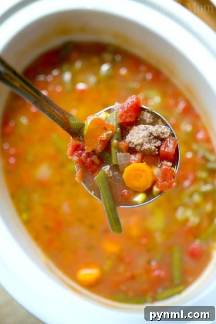 A steaming bowl of Crock Pot Vegetable Beef Soup, ready to be enjoyed.