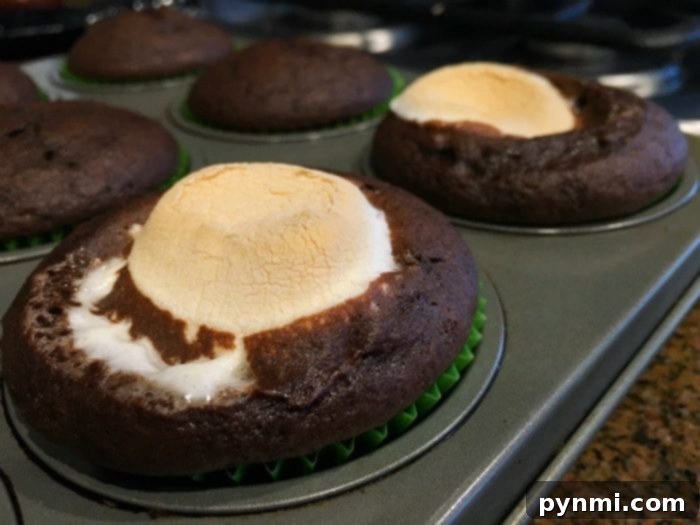 Sweet Bites for Little Chefs 5 Kids decorating easy dessert recipes