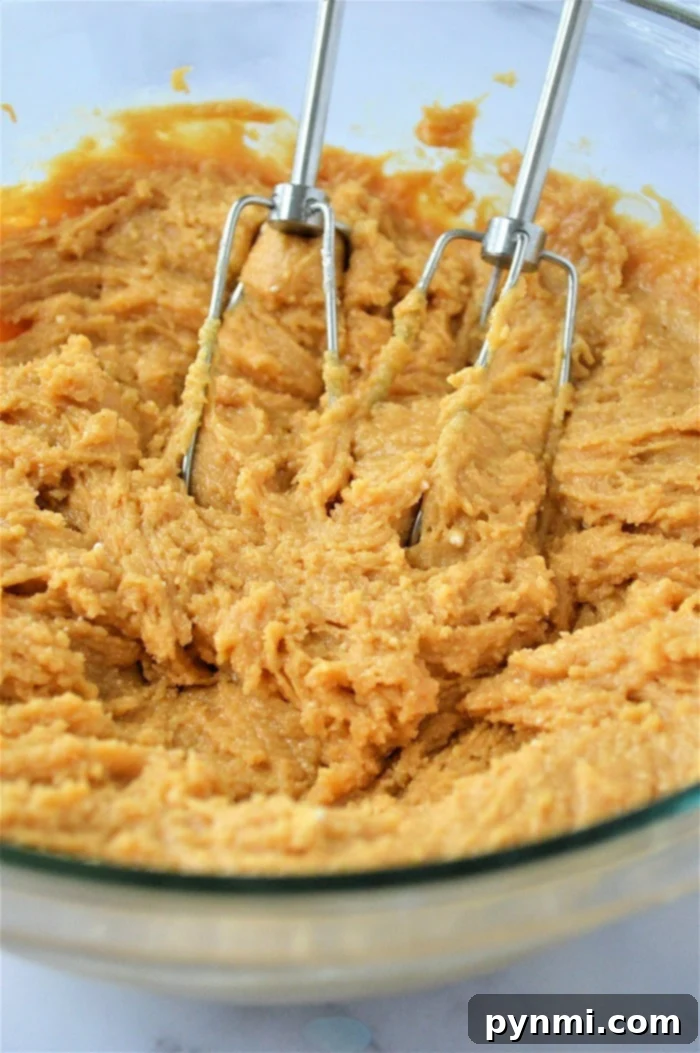 Close-up of cookie dough in a mixing bowl, ready to be scooped and baked.