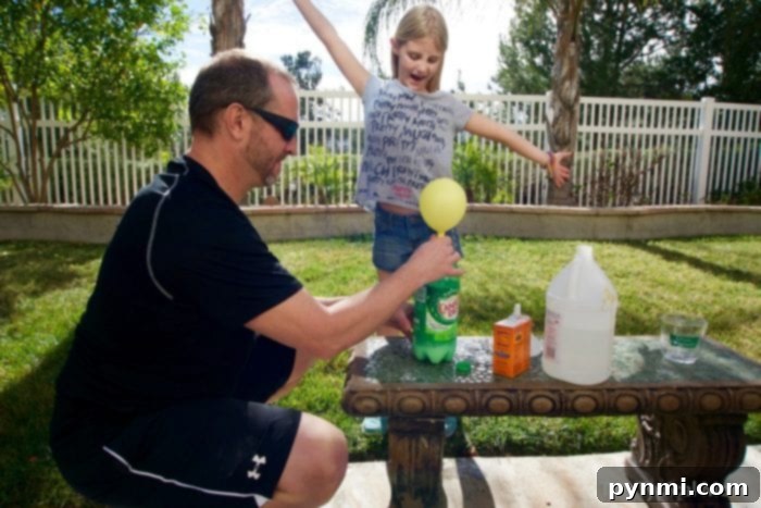 A balloon fully inflated by a baking soda and vinegar experiment, showcasing the chemical reaction.