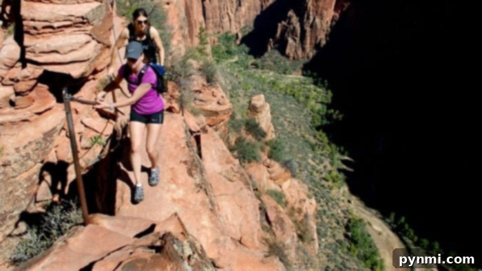 Zion Ponderosa: A Women's Sanctuary of Renewal 5 Zion Ponderosa: Panoramic view of the vast Utah landscape