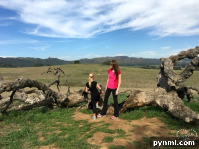 Post-Baby Body The Unspoken Truths 4 A mother enjoying time with her children, emphasizing that postpartum body changes don't define your joy or ability to make memories.