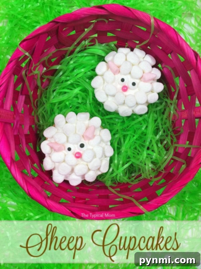 These charming sheep cupcakes are among the cutest and easiest Easter desserts, bringing joy to any Easter brunch or gathering. Adorable sheep cupcakes with fluffy frosting and mini marshmallow 'wool'.