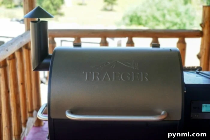 Top Smokers to Start Your BBQ Journey 3 traeger smoker