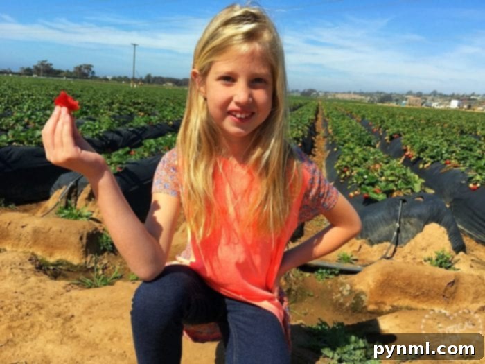 The Great Indoors Spring Getaway 5 Affordable and engaging Spring Break activities for kids, like visiting a local farm or flower field.