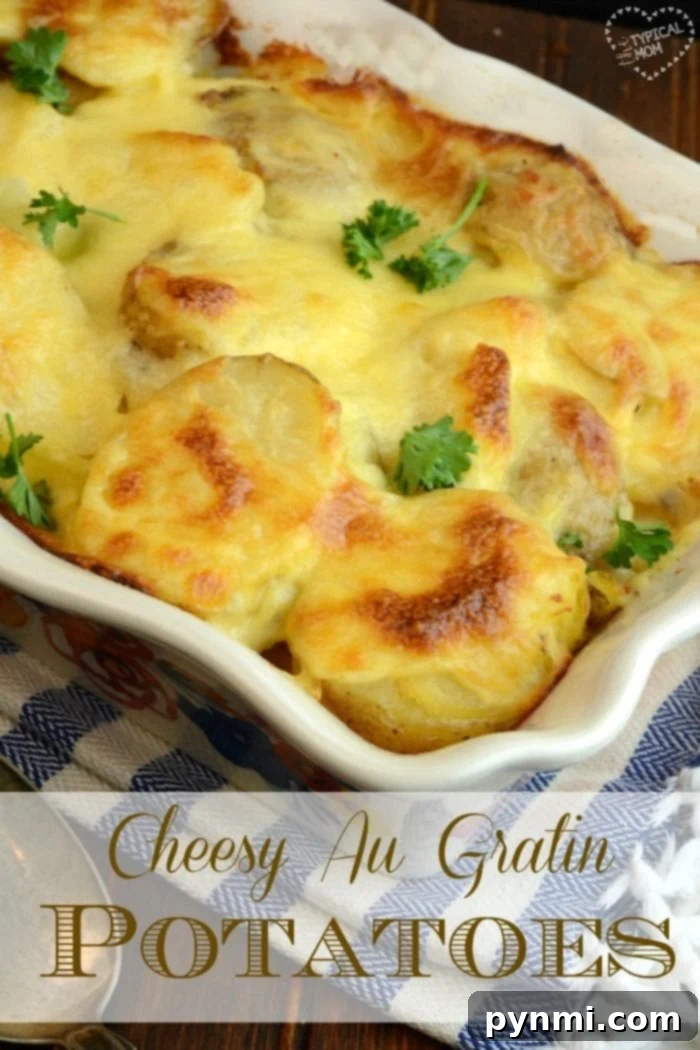 Easy Au Gratin Potatoes Recipe for Holidays: Serve with ham or as a standalone cheesy side. A golden-brown dish of cheesy au gratin potatoes, freshly baked and ready to serve, perfect for holiday gatherings.