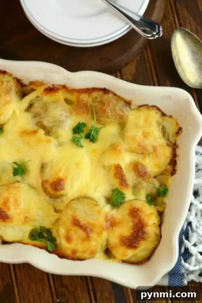 Easy Au Gratin Potatoes with Leftover Ham - perfect for a family meal or holiday side dish. A bubbling casserole of easy au gratin potatoes, topped with a golden-brown cheesy crust and fresh parsley, presented on a rustic wooden table.
