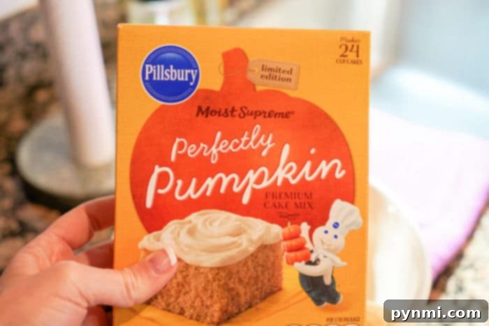 Small Batch Cake Mix Cupcakes for Six 3 A box of pumpkin cake mix, highlighting the versatility of cake mixes for small batch baking.