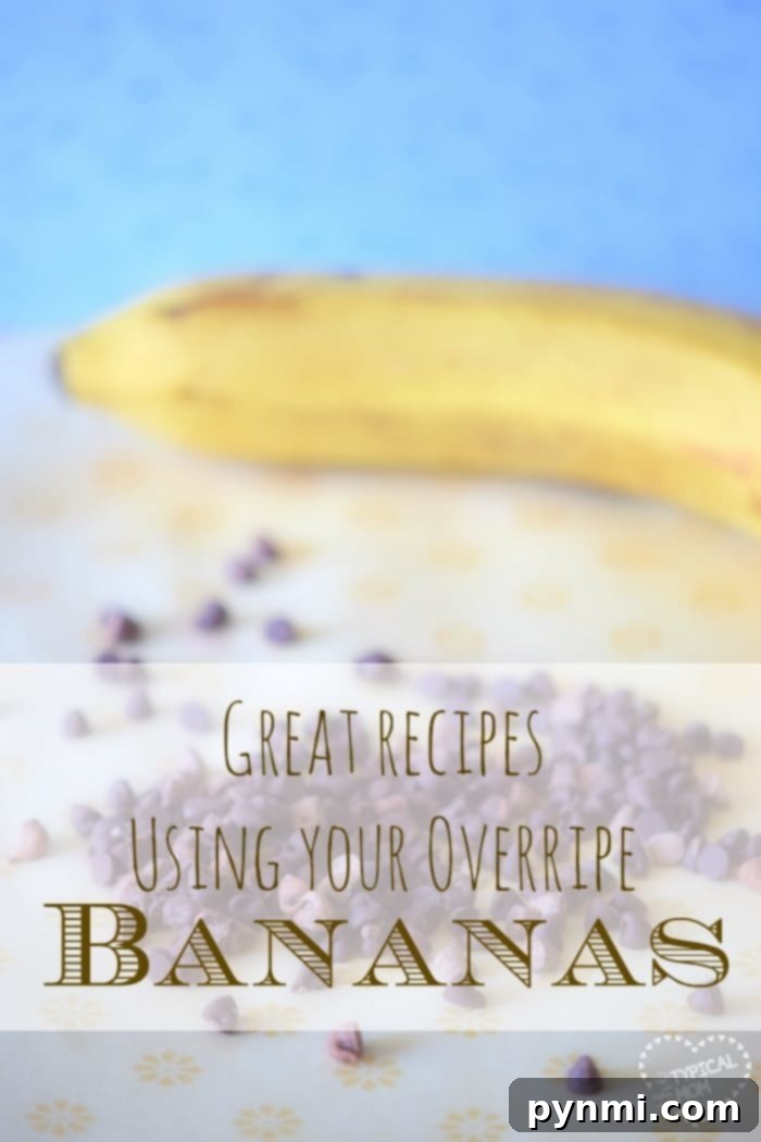 Here are lots of great overripe banana recipes, 25 of them! A great way to use brown bananas and make something delicious with them. Here are our favorites. #overripe #banana #recipes #cake #muffins #bread #bananas #recipe overripe banana recipes