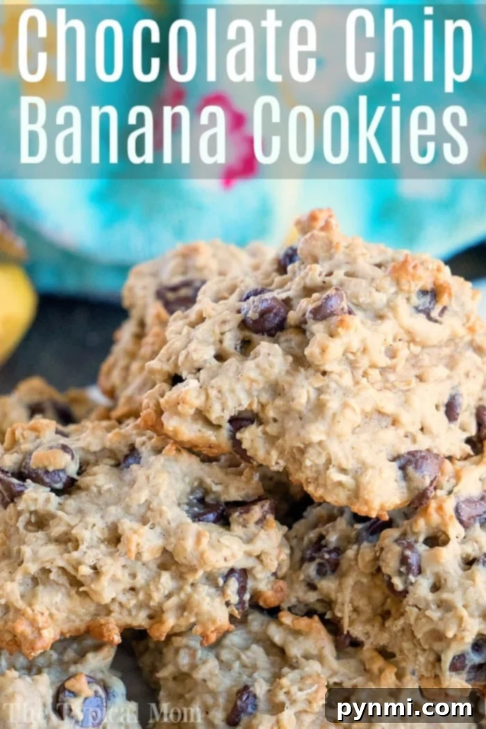 Cookies with overripe bananas! #chocolatechip #banana #cookies banana chocolate chip oatmeal cookies