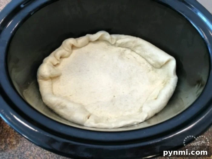 instant pot pizza