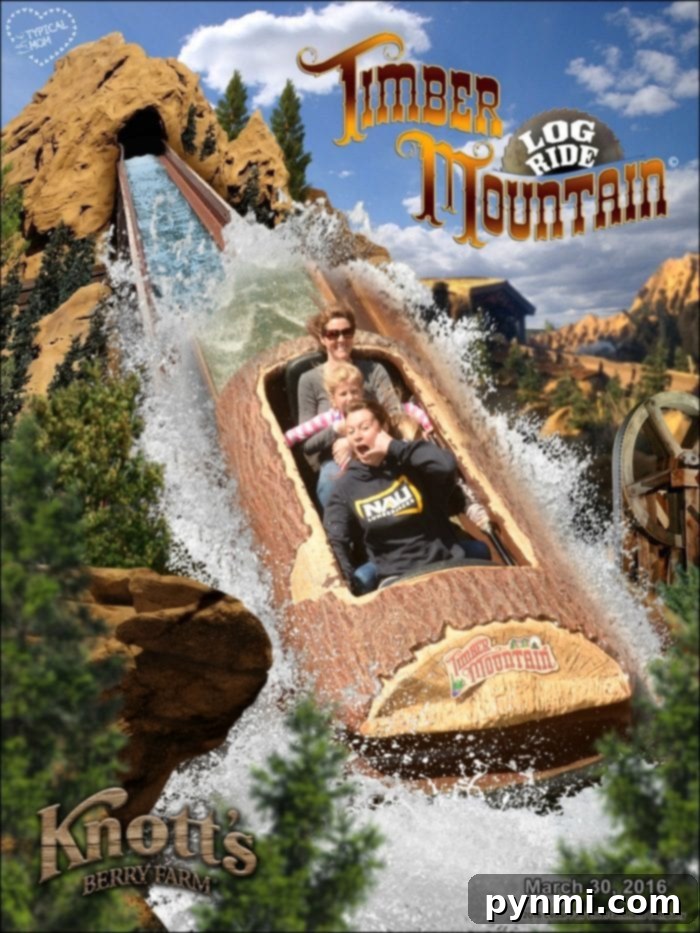 Thrilling perspective from the Knott's Berry Farm Log Ride, an iconic attraction, perfect for FunPix photo captures.