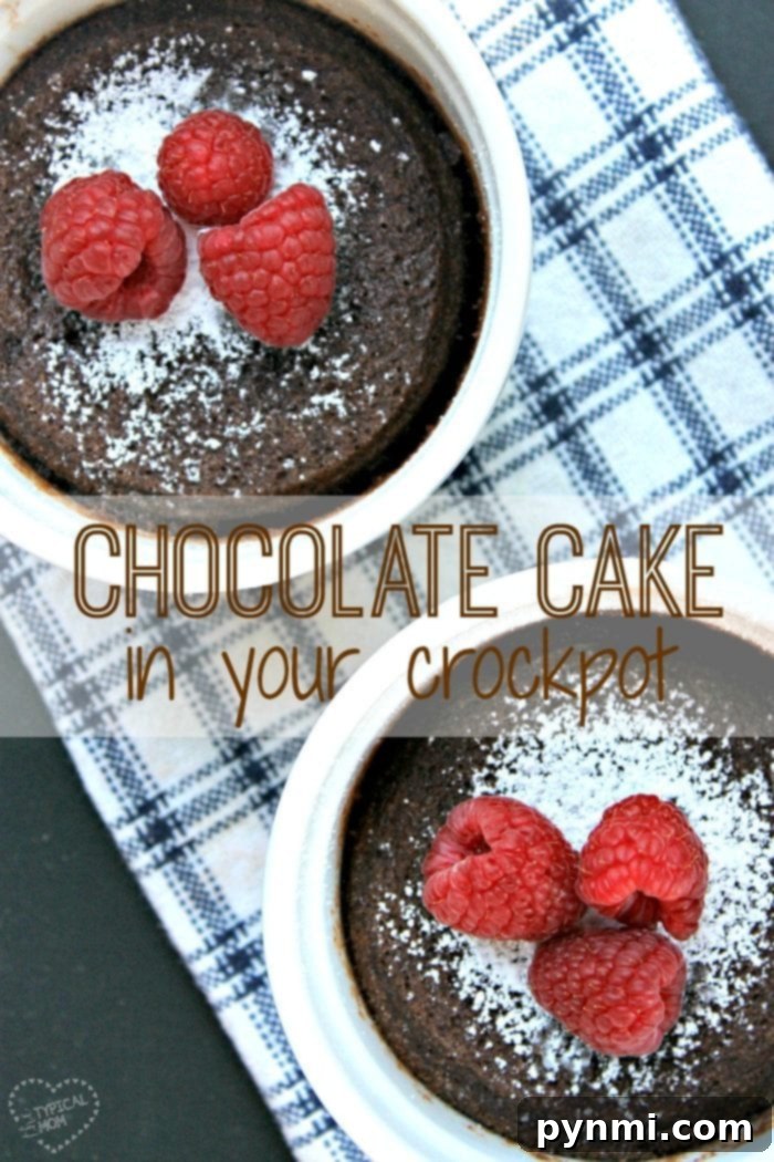 Two chocolate cakes in white ramekins, topped with powdered sugar and fresh raspberries, sit on a checkered blue and white cloth. The text reads Crockpot Cake – deliciously easy!