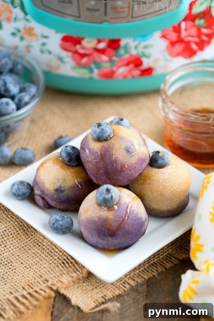 Elevated Brunch Selections 5 Fluffy Instant Pot blueberry pancake bites, perfectly golden and ready for a delectable brunch experience.