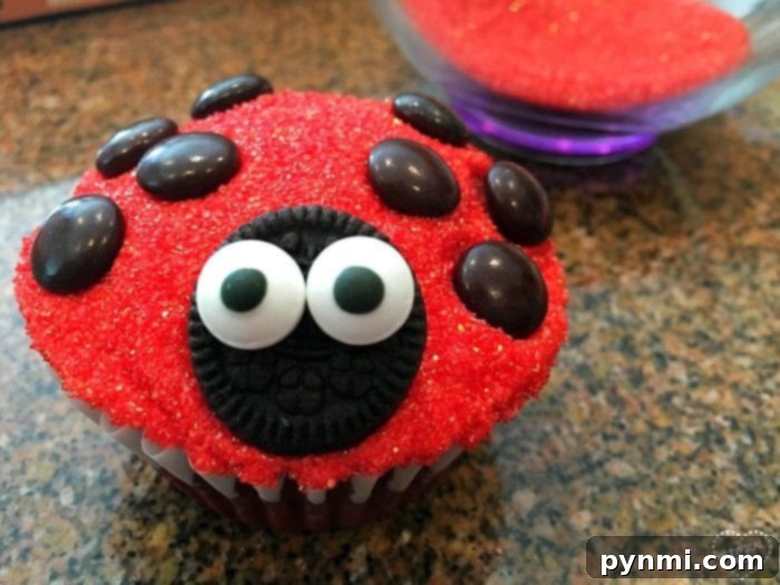 Make these adorable ladybug cupcakes for your next celebration! An easy and fun recipe perfect for kids' parties, baby showers, or just a cute treat. A tray full of finished ladybug cupcakes, ready for a party.