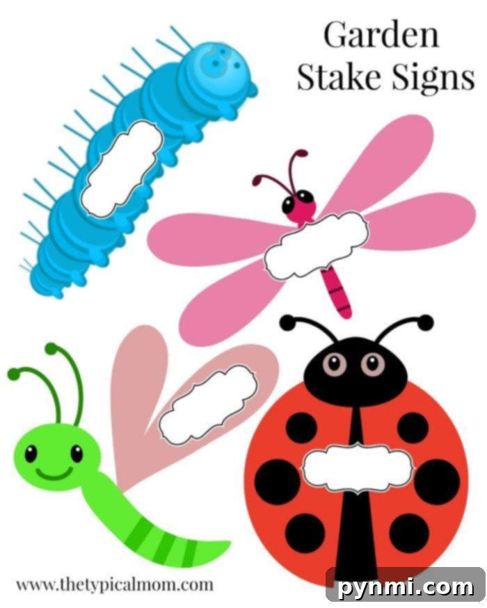 Close-up of handmade insect-themed garden markers with plant names written on them