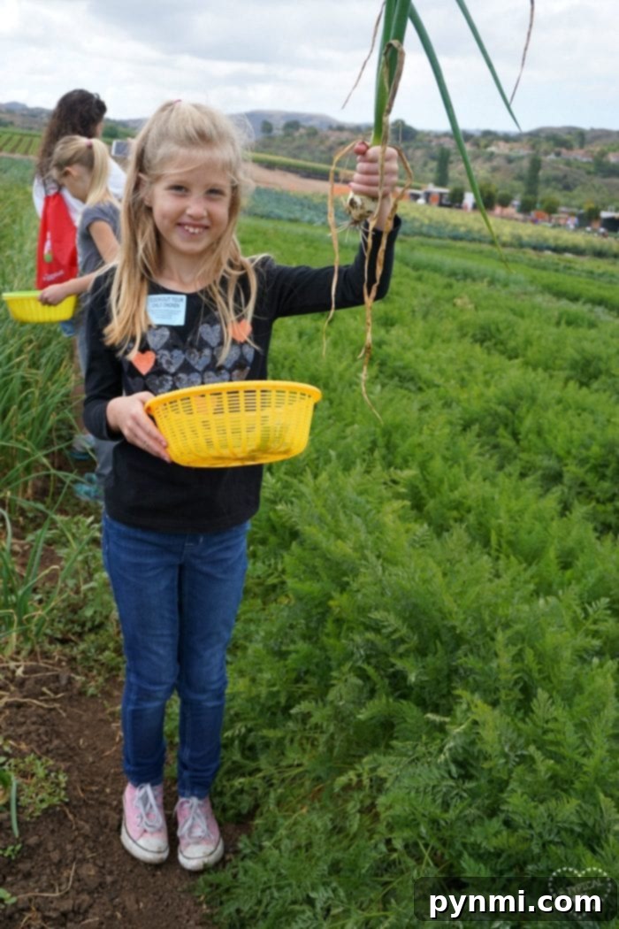 Unearthing the Magic of Tanaka Farms Irvine 3 Tanaka Farm harvest