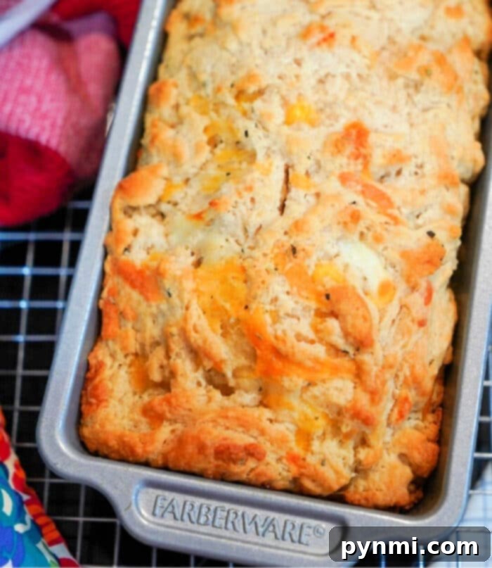 Golden-brown beer cheddar bread cooling on a wire rack in a metal loaf pan, showcasing the best easy beer bread recipe.