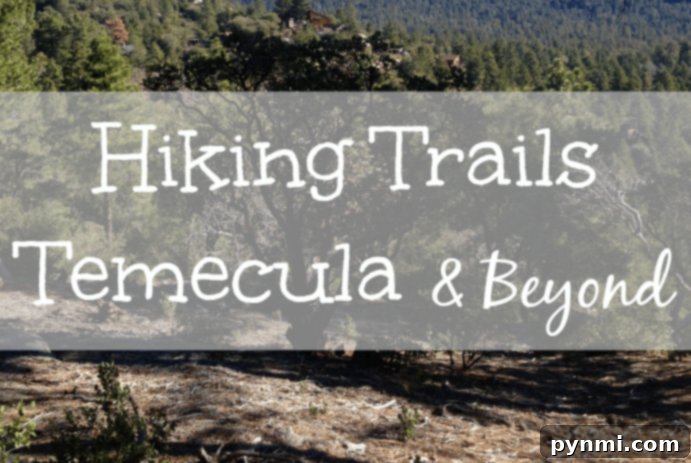 Exploring the Universe at Palomar Observatory San Diego 4 Hiking trail through lush greenery in Temecula region
