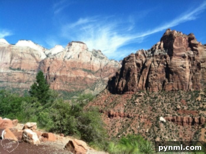 Tips for free travel across the USA, showing a family enjoying a scenic view