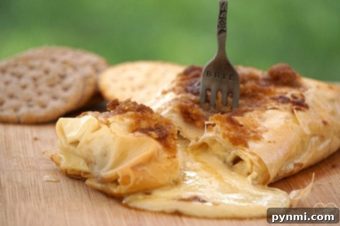 Best baked brie with a perfectly golden crust.
