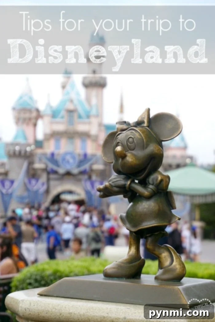 A family excitedly planning their Disneyland trip with maps and activity sheets spread out, emphasizing the importance of preparation.