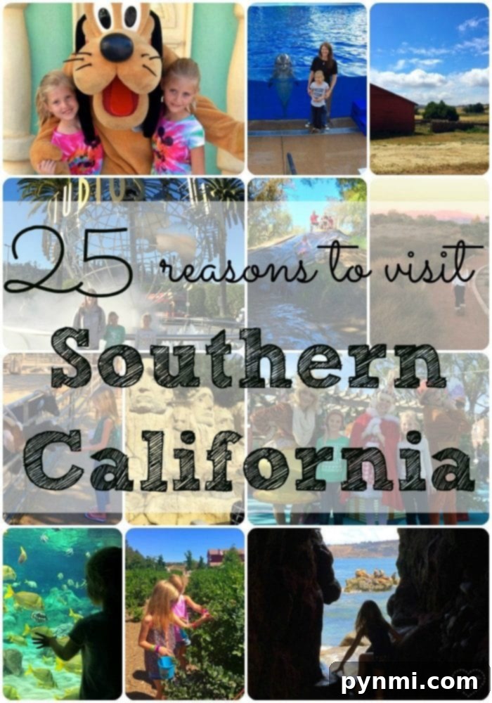 Best places to go in Southern California for families