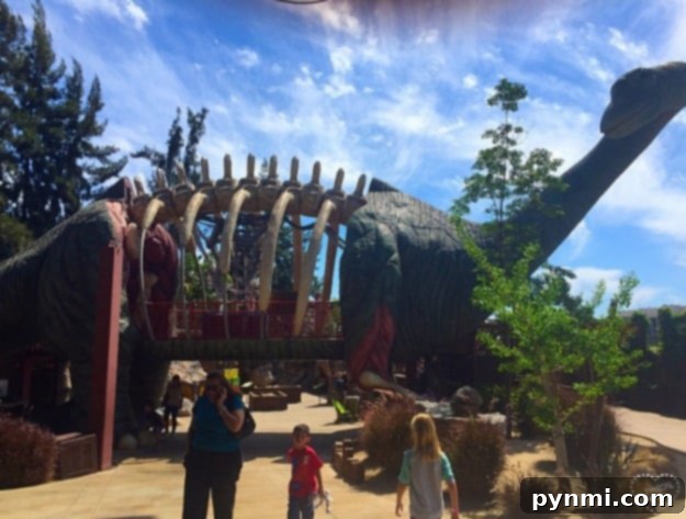 Best places to go in Southern California for families and kids