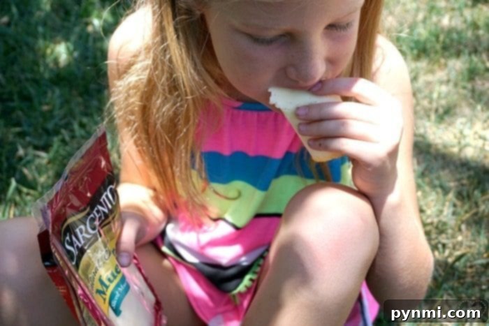Easy picnic ideas featuring a chilled chicken salad container.