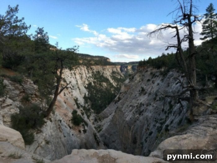 Jolley Gulch: A Must-Visit Spot Near Zion Ponderosa Jolley Gulch, a hidden gem in Utah