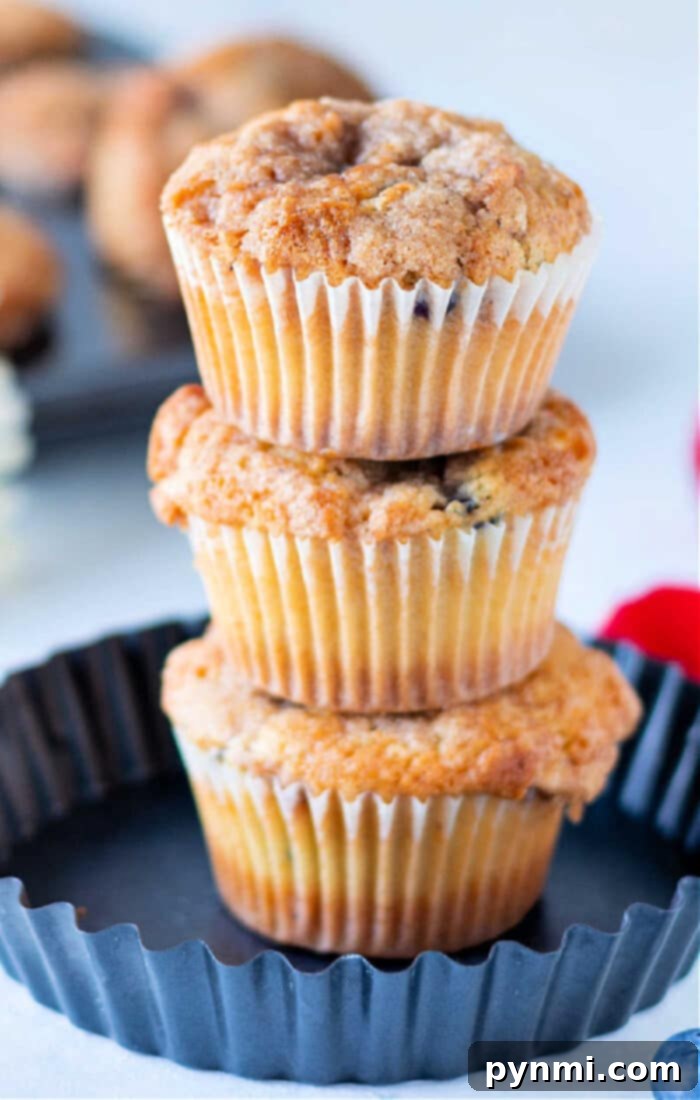 Make-Ahead Blueberry Muffins 2 Delicious homemade frozen blueberry muffins with a crumb topping, fresh from the oven, perfect for breakfast or dessert.